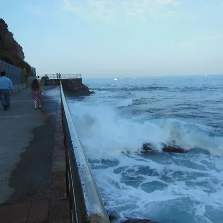 Jardines De Lallosa *